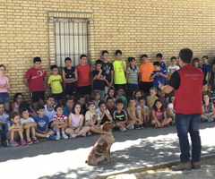 Más de 3.000 niños andaluces aprenden sobre el perro y su tenencia responsable con “Mi Perro es de Caza”